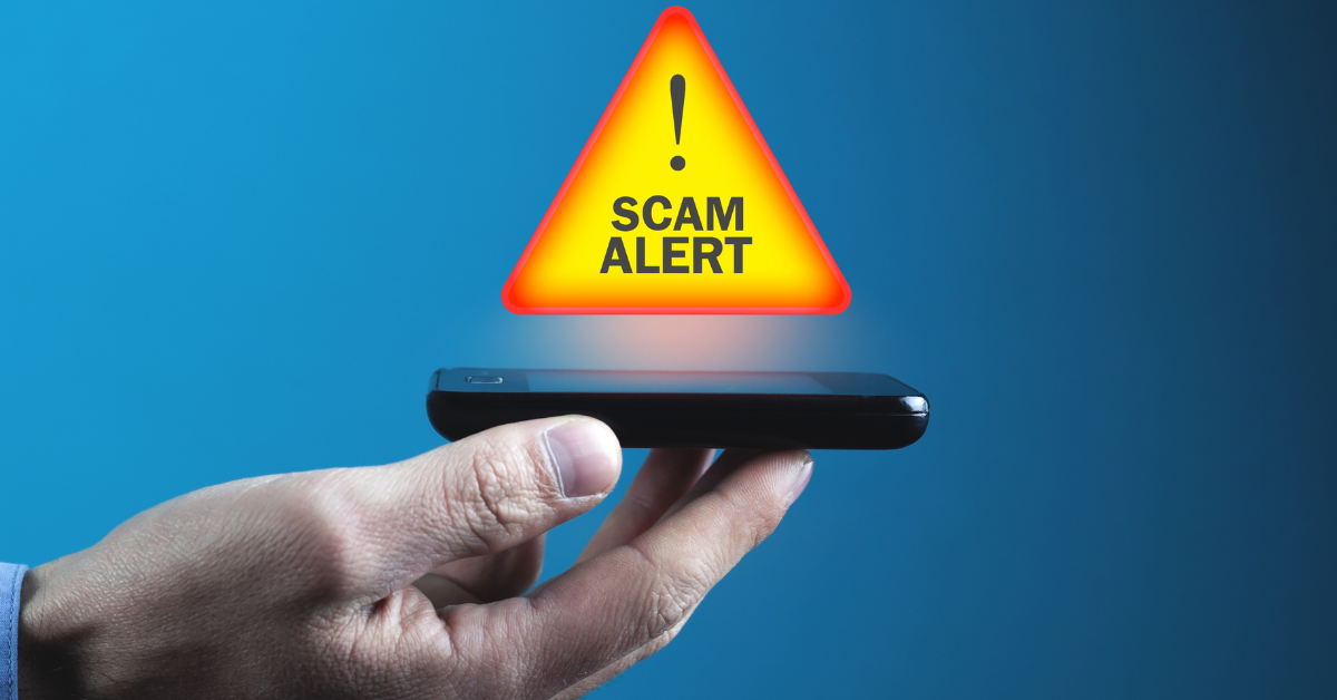a picture of someone holding a phone that says 'scam alert'